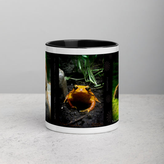 Portland, OR Zoo Mug with Color Inside